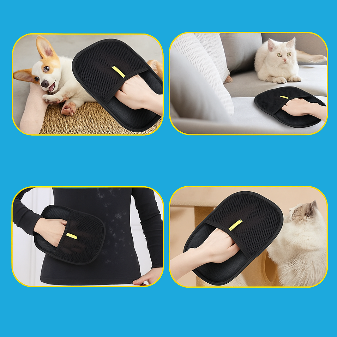 GlidePaw