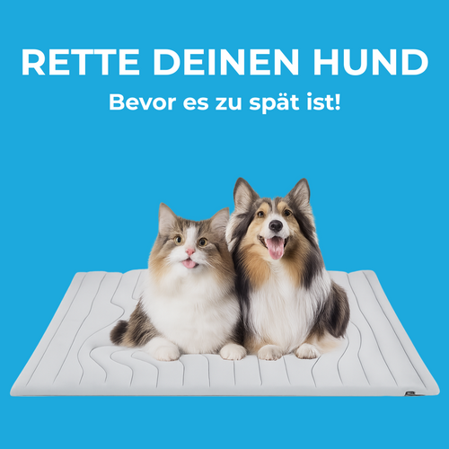 FrostoRest – Lebensretter bei Hitze