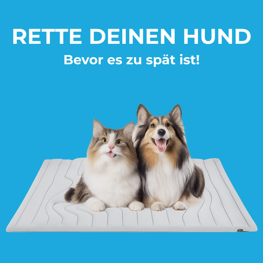 FrostoRest – Lebensretter bei Hitze